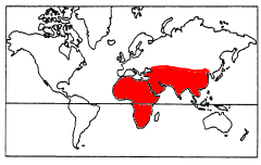 wereldkaart met verspreiding treksprinkhaan