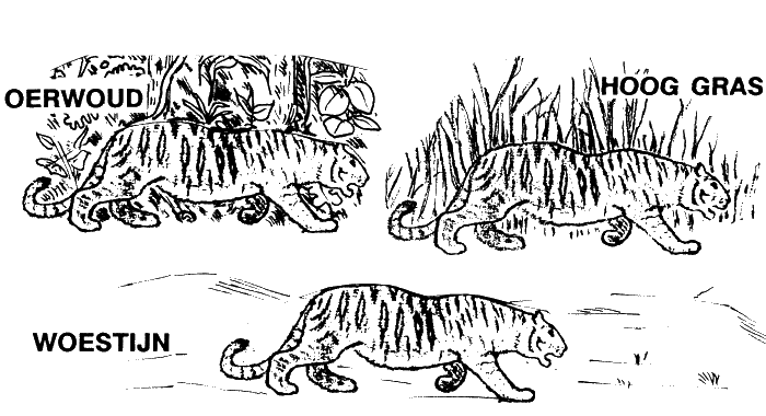 tijger in drie omgevingen