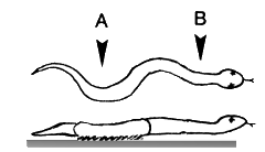 van boven en van opzij