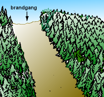 brandgang door een bos