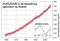 toename van koolzuur